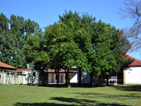 Parque Secundaria